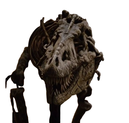 Rexy